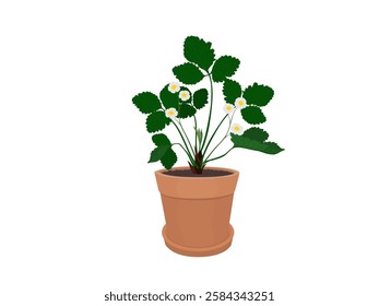 Strawberry tree on a white background.