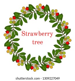 Strawberry tree wreath. Hand drawn botanical vector illustration