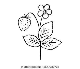 Ilustração de doodle de galho de morango, folhas, flor e esboço de baga, ícone desenhado à mão da planta de verão