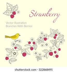 Strawberry twig with leaves and berries. Bird on a twig. Floral frame text with natural elements