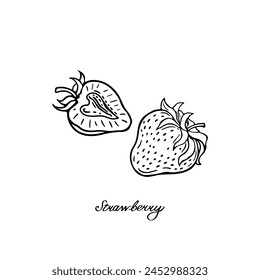 Strawberry. Two blck and white berries. Hand-drawn flat image. Vector illustration on a white background.