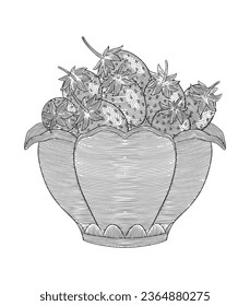  Strawberry in vase, vintage engraving drawing style vector illustration