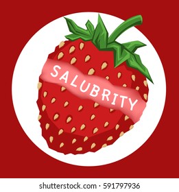 strawberry vector