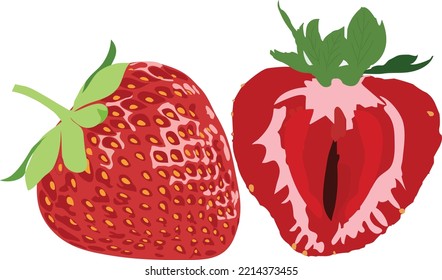 Obra de arte del vector de fresa. Este es un archivo EPS.