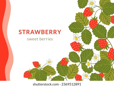 Strawberry vector banner illustration. Frame background with sweet red berries, white flowers and leaves with copy space for text. Hand drawn cartoon wild strawberry fruit design
