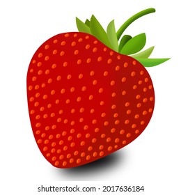 Strawberry vector for children's book, flashcard, alphabet