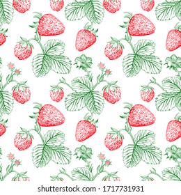 Strawberry vector color seamless pattern drawing. Isolated hand drawn berry and leaf on white background. Summer fruit engraved style illustration. Detailed vegetarian food.