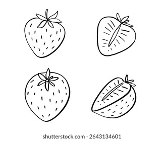 Ilustración de doodle de Vector de fresa, mitad del boceto de contorno de baya, ícono dibujado a mano de comida de verano