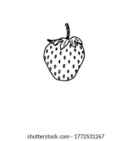 Strawberry, vector doodle illustration, hand drawing 