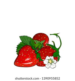 strawberry vector drawing. Isolated berry branch sketch on white background.Summer fruit colorful illustration.Detailed hand drawn vegetarian food.Healthcare product.Great for label,poster,print