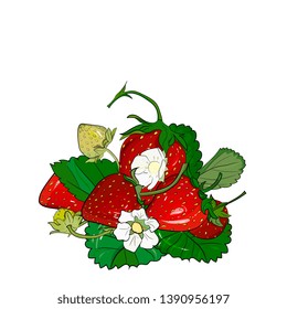 strawberry vector drawing. Isolated berry branch sketch on white background.Summer fruit colorful illustration.Detailed hand drawn vegetarian food.Healthcare product.Great for label,poster,print