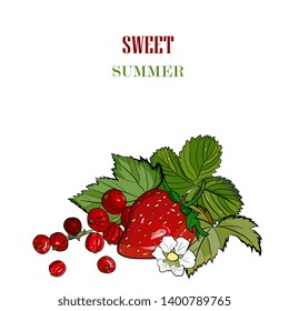 strawberry vector drawing. Isolated berry branch sketch on white background.Summer fruit colorful illustration.Detailed hand drawn vegetarian food.Healthcare product.Great for label,poster,print