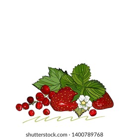 strawberry vector drawing. Isolated berry branch sketch on white background.Summer fruit colorful illustration.Detailed hand drawn vegetarian food.Healthcare product.Great for label,poster,print