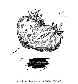 Desenho de vetor de morango. Baga isolada desenhada à mão, fatia e folha em fundo branco.  Fruta de verão gravada ilustração estilo. Comida vegetariana detalhada. Ótimo para etiqueta, cartaz, impressão