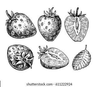 Strawberry vector drawing set. Isolated hand drawn berry, slice and leaf on white background.  Summer fruit engraved style illustration. Detailed vegetarian food. Great for label, poster, print