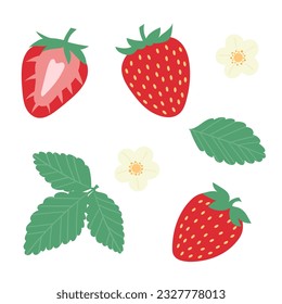 Strawberry vector flat illustration set, fruit clip art with flower and leaves