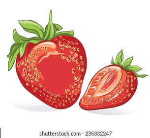 Strawberry. Vector hand drawing