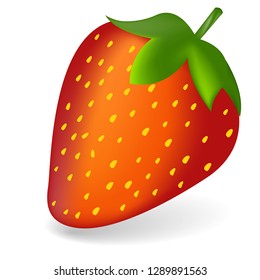 Strawberry vector icon isolated on white background. 