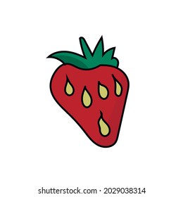 strawberry vector icon isolated on white