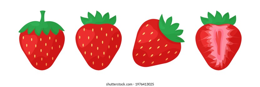 Strawberry vector icon with leaves isolated on white background. Fruits illustration