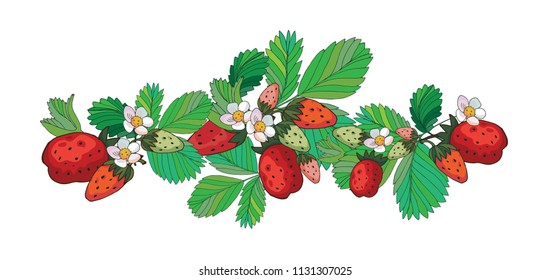 Strawberry. Vector illustation