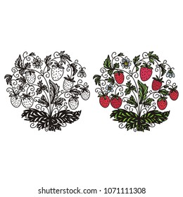 Strawberry. Vector illustration