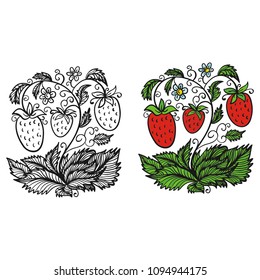Strawberry. Vector illustration