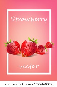 strawberry vector illustration