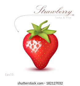 strawberry vector illustration