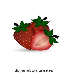 Strawberry vector illustration