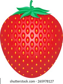 strawberry; Vector illustration