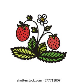Strawberry vector illustration