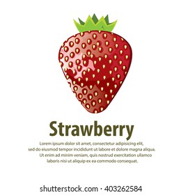 Strawberry. Vector illustration