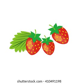 Strawberry vector illustration