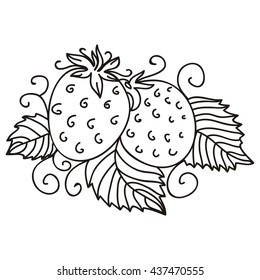 Strawberry. Vector illustration.