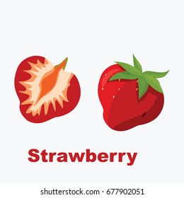 strawberry vector illustration