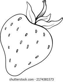 Strawberry vector illustration for any use