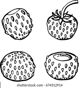  Strawberry. Vector illustration of berries isolated on white background. Template for greeting card, postcard, packaging, menu, banners, print.