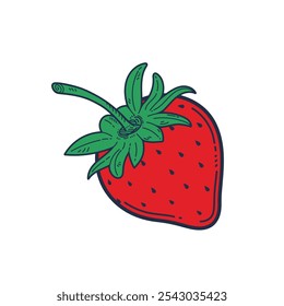 Morango, Ilustração de vetor de morango, Imagem de vetor desenhada de morango.