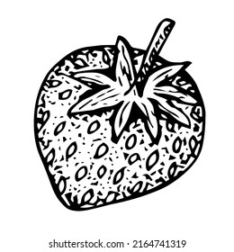 Ilustración vectorial de fresa, dibujo manual