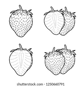 Strawberry Vector Illustration Hand Drawn Fruit Cartoon Ar