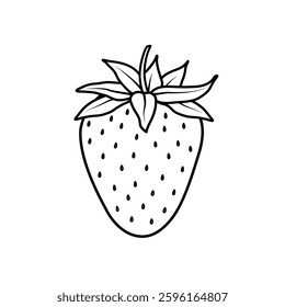 Strawberry. Vector illustration with hand drawn strawberry in black pen. Isolated monochrome image on white background. Simple drawing. Element for printing and design.