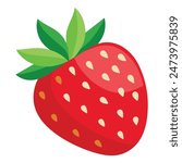 Strawberry Vector Illustration high quality
