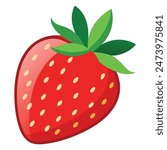 Strawberry Vector Illustration high quality