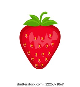 Strawberry  vector illustration isolated on white background. Garden berries