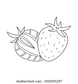 Strawberry vector illustration isolated on white background. A strawberry and a slice of strawberry vector coloring page.