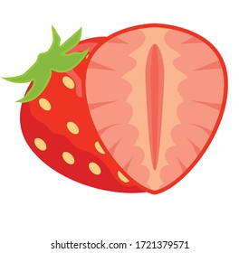 strawberry vector illustration on white background