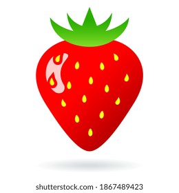 Strawberry vector illustration on white background