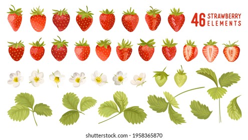Strawberry vector illustration set. Watercolor cute berry, flowers, leaves isolated. Summer garden design elements for invitation, greetings, textile, backdrop, wallpaper