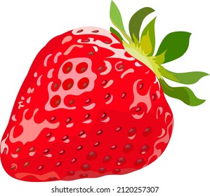 Strawberry vector illustration. Single red berry